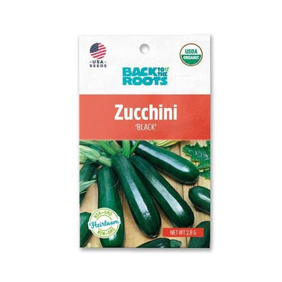 Zucchini - 'Black'