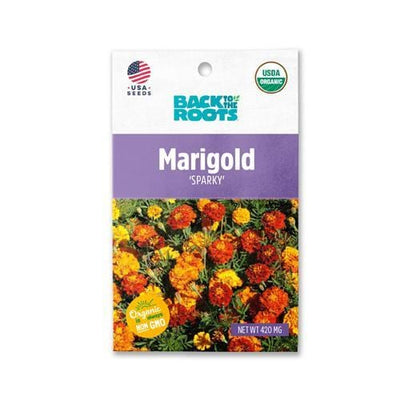 Marigold - 'Sparky'