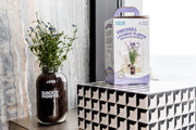 Organic Lavender Windowsill Planter